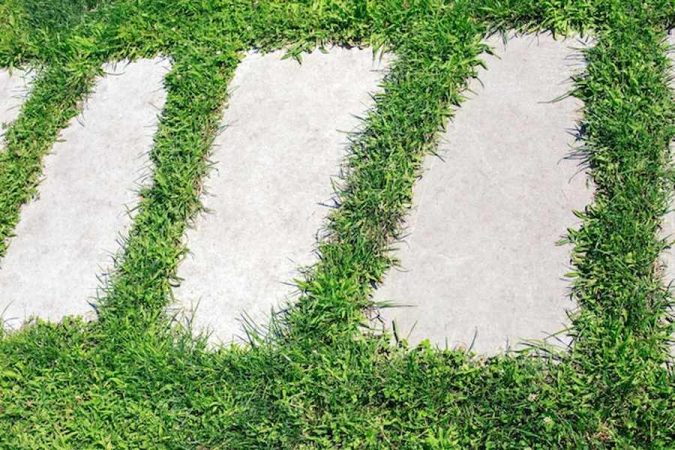 Un sentier de dalles de jardin entouré d'une végétation dense illustrant les alternatives au gazon : 10 plantes couvre-sols qui ne demandent ni tonte ni arrosage.