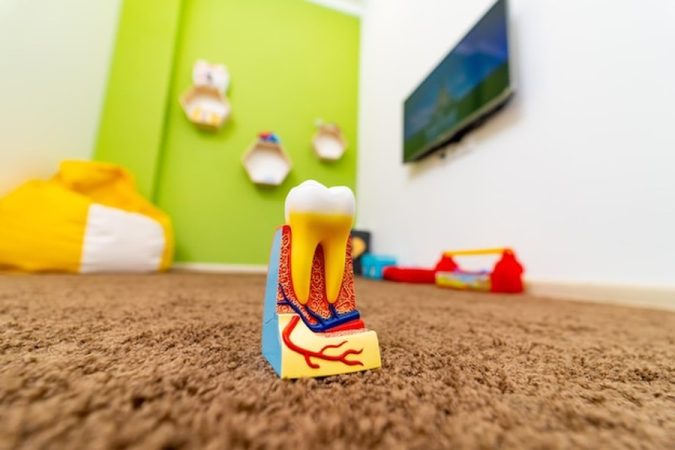 Une maquette pédagogique de dent sur une moquette épaisse dans une salle de jeu apaisante, parfaite pour illustrer comment Aménager un coin Snoezelen à la maison : le guide complet pour apaiser les enfants hypersensibles ou TDAH.