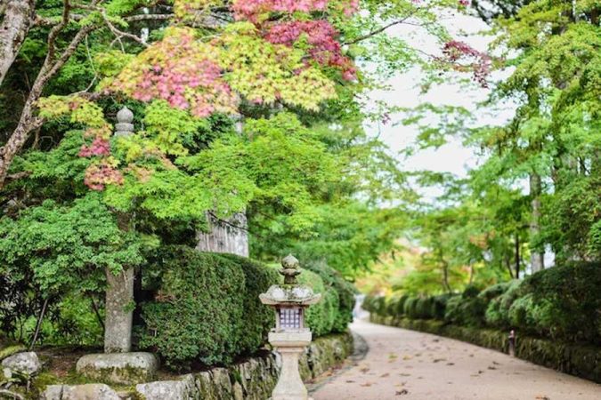 Un sentier de jardin luxuriant avec des érables et des lanternes traditionnelles illustrant comment créer une micro-forêt Miyawaki dans son jardin (même sur 10m²).
