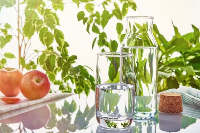 Une carafe d'eau limpide et un verre transparent posés devant une végétation verdoyante pour illustrer comment fabriquer un système de phytoépuration individuel pour eaux grises : guide DIY et réglementations.