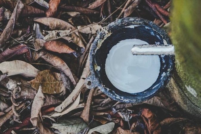 Un récipient artisanal recueille un liquide blanc précieux au milieu de feuilles mortes, illustrant parfaitement comment installer un système de recyclage des eaux grises DIY pour l'autonomie hydrique de son logement en 2026.
