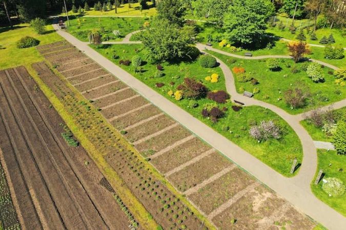 Plusieurs parcelles de terre bien délimitées au sein d'un grand jardin paysager, mettant en avant la Division parcellaire : Le guide complet pour détacher et vendre une partie de son jardin sans faire d'erreur.