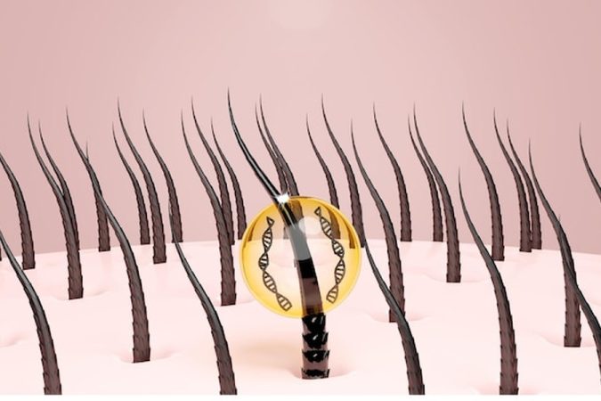 Une goutte dorée protectrice pénètre un follicule pileux pour renforcer la fibre capillaire, un processus détaillé dans notre Huile de Batana : Le guide complet pour faire repousser les cheveux naturellement (Bienfaits, Utilisation et Avis).