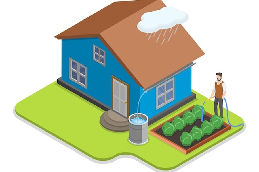Système de rainwater harvesting apartment captant l'eau de pluie pour l'arrosage d'un jardin potager résidentiel.