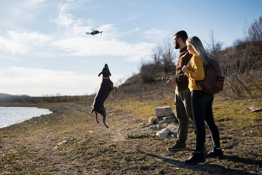 Un chien bondissant vers un appareil en plein vol pour comprendre comment calmer un chien stressé par le passage des drones de livraison.