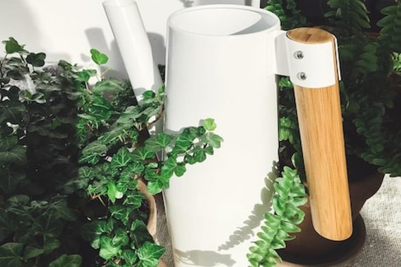 Un arrosoir blanc au design moderne entouré de plantes vertes luxuriantes illustre le recyclage des eaux grises : Comment réutiliser l'eau de la douche pour les WC et le jardin.