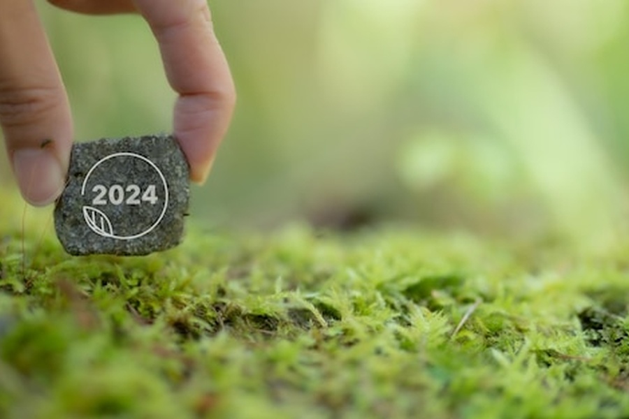 Une main tenant un fragment de biochar marqué du millésime 2024 sur un tapis de mousse verte, expliquant comment monétiser la captation carbone de ses sols : les opportunités 2026.